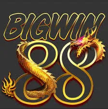 Review Aplikasi bigwin88